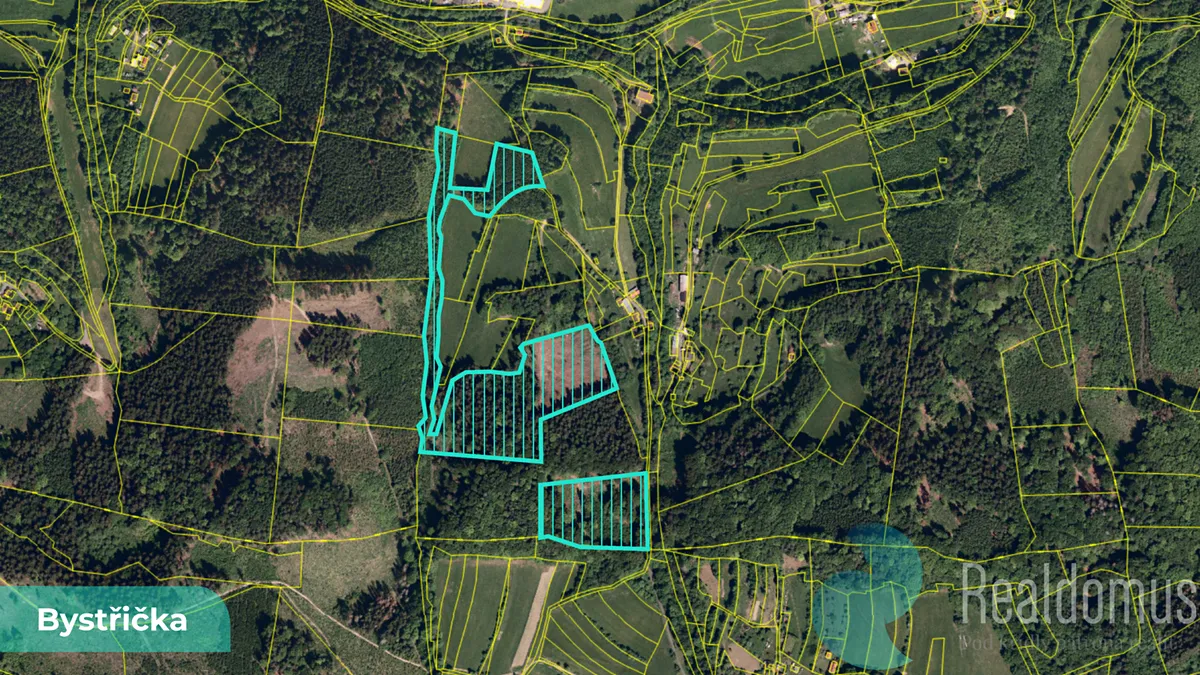 Prodej podílu 4/10 lesa 16784 m²
